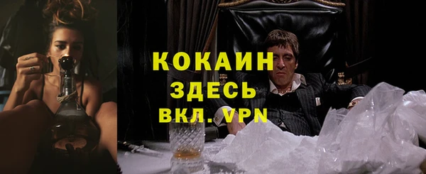 МДПВ Майский