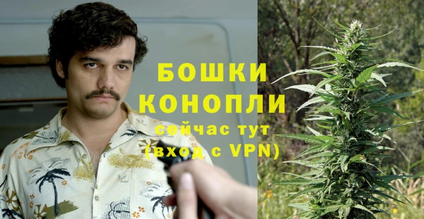 трава Магадан