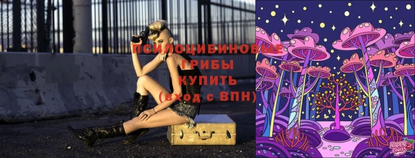 трава Магадан