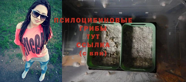 спайс Магас