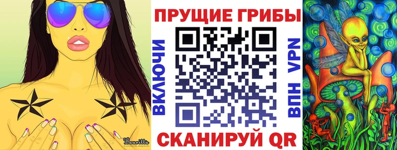 Купить закладки  Шатура  Псилоцибиновые грибы мухоморы 